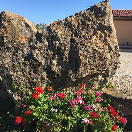Campanedda Agriturismo Sechi מראה חיצוני תמונה