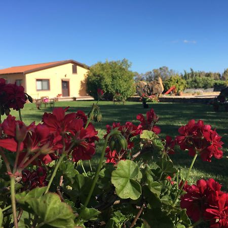 Campanedda Agriturismo Sechi מראה חיצוני תמונה