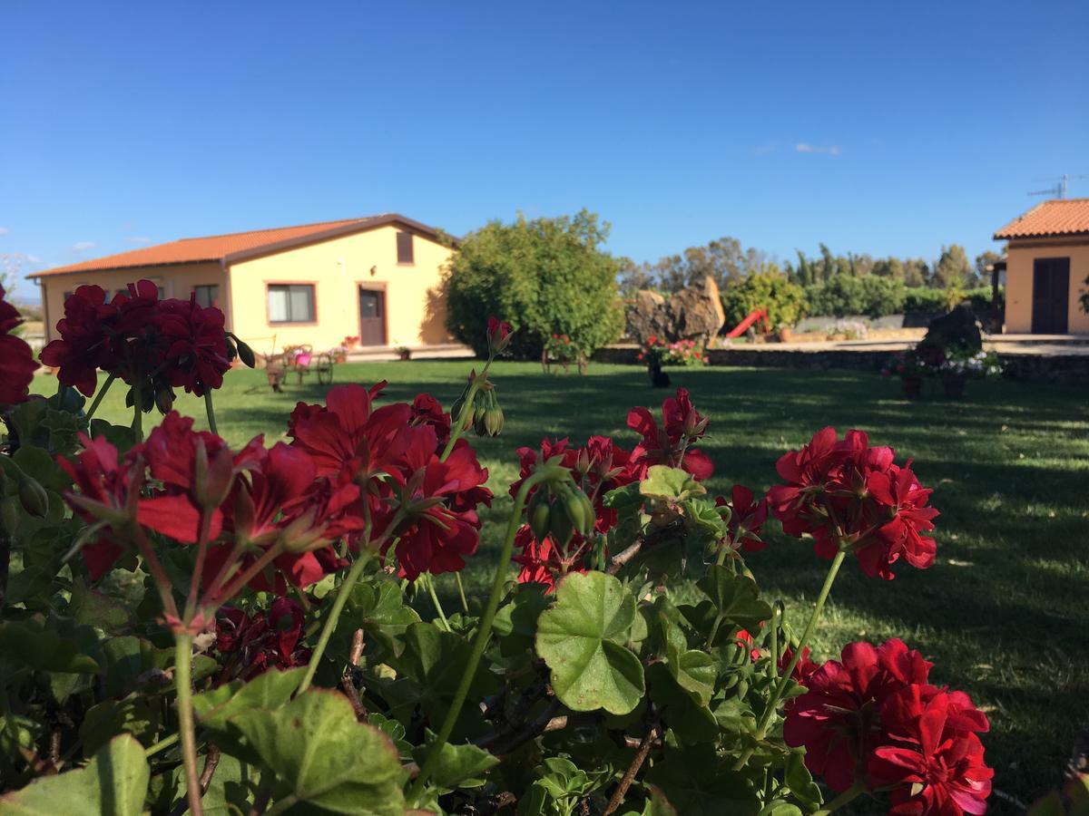 Campanedda Agriturismo Sechi מראה חיצוני תמונה